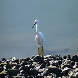 2011-10 Portugal/Olhao/P1000457.JPG